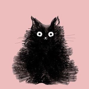 Meet your Posher, Abigail